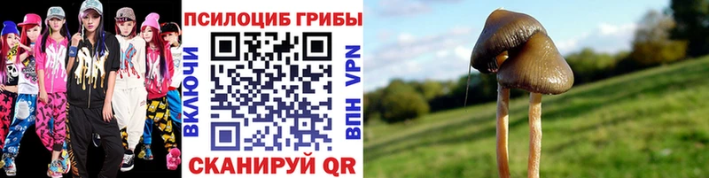 Галлюциногенные грибы прущие грибы  Купить закладки  Валдай 
