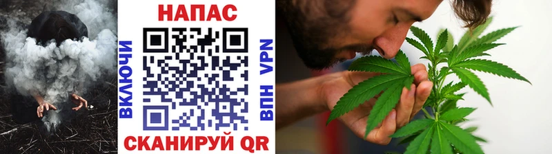 Бошки марихуана планчик  Купить закладки  Валдай 